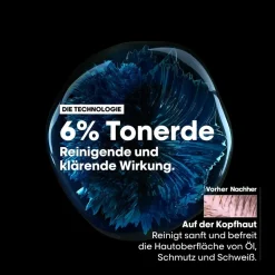 Dun & Steil Haar^L’Oréal Professionnel Paris Anti-Oiliness Dermo-purifier Shampoo