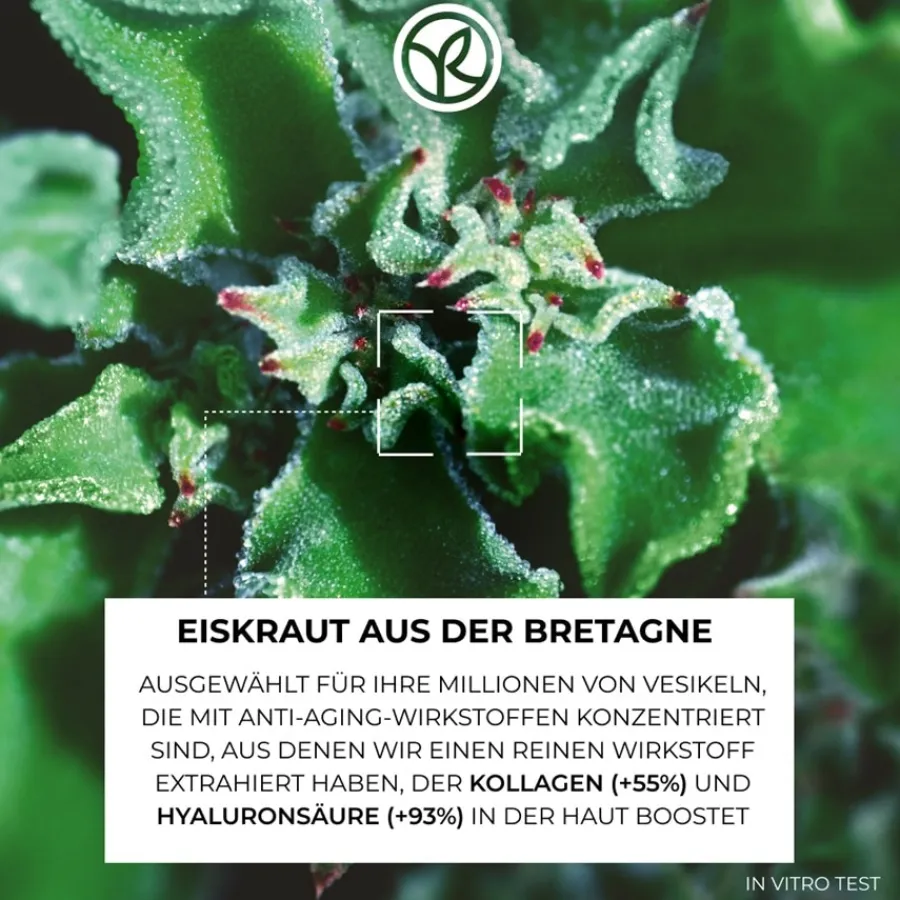 Oogverzorging|Gezichtsverzorging^Yves Rocher Anti-rimpel oogverzorging