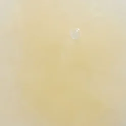 Hydraterend Serum^Santaverde bakuchiol druppels, Zonder geur