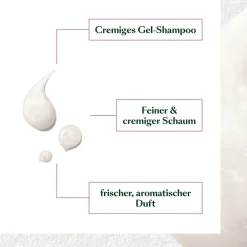 Droog Haar^René Furterer Balancerende shampoo voor droge roos