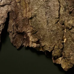 Antirimpelcrème^BABOR BB Cream SPF 20