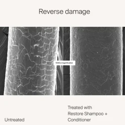 Hydraterende Conditioner|Droog Haar^Living Proof Conditioner