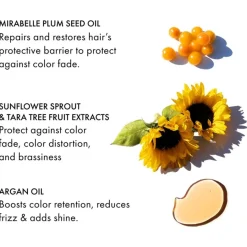 Conditioner Voor Gekleurd Haar^Fekkai Conditioner