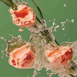 Douchegel^sober Dagelijkse douche lotion