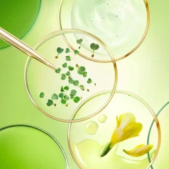 Hand & Voet|Handcrème^Nuxe De donkere vlekken corrigerende handcrème