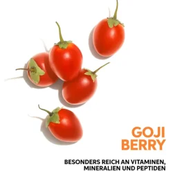 Volumeshampoo|Smoothing Shampoo^Wella Deep Nourishing Shampoo