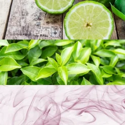 Fris Parfum|Deodorants Heren^Calvin Klein Deodorant Stick