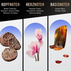 Reiniging|Douchegels Heren^Bruno Banani Douchegel