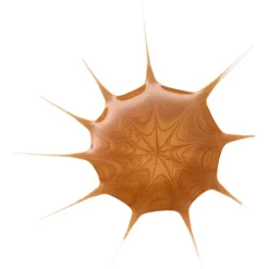 Make-Up Gezicht^Essence DROP VAN ZONNEN BRONZENDE DROPS