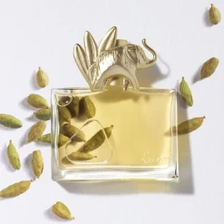 Wintergeuren|Lentegeuren^KENZO Eau de Parfum Spray