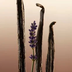 Fris Parfum|Fruitig Parfum^Burberry Eau de Parfum Spray