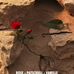 Damesparfum^Jil Sander Eau de Parfum Spray