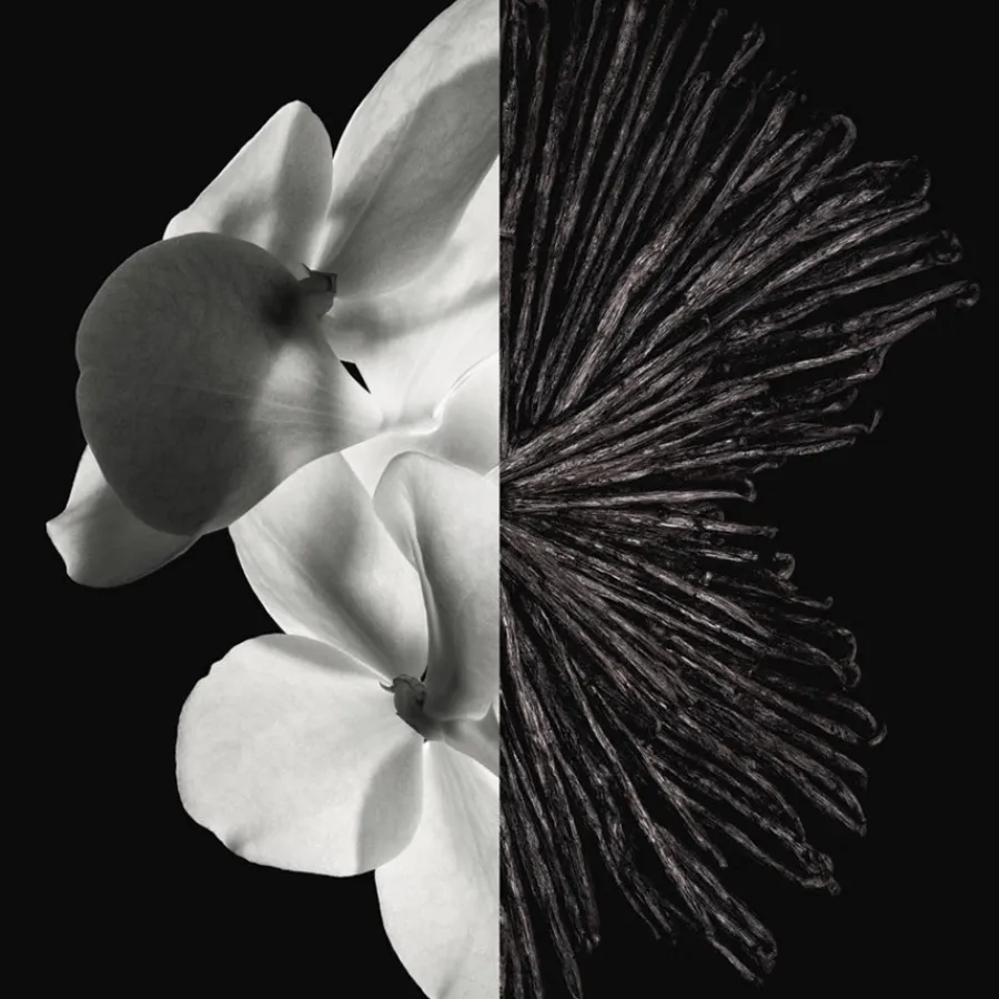 Frans Parfum|Herenparfum^GIVENCHY Eau de Parfum Spray