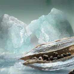 Herenparfum^Bvlgari Eau de Parfum Spray