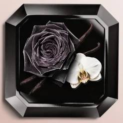 Frans Parfum|Damesparfum^Lancôme Eau de Parfum Spray