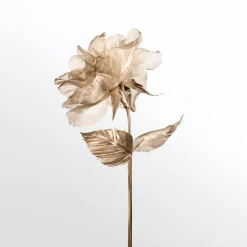 Lentegeuren|Bloemig Parfum^Tiffany & Co. Eau de Parfum Spray