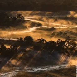 Herenparfum|Damesparfum^GUERLAIN Eau de Parfum Spray, Bosca Vanilla Forte