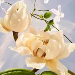 Bloemig Parfum|Damesparfum^Bvlgari Eau de Parfum Spray, Crystalline