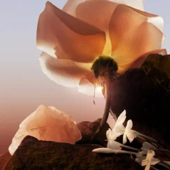 Damesparfum^Lancôme Eau de Parfum Spray Florale, Now