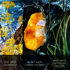 Amberparfum|Herenparfum^Davidoff Eau de Parfum Spray Intens, Reborn