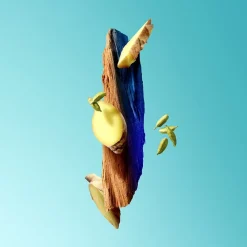 Luxe Damesparfum|Herenparfum^Eisenberg Eau de Parfum Spray, Young