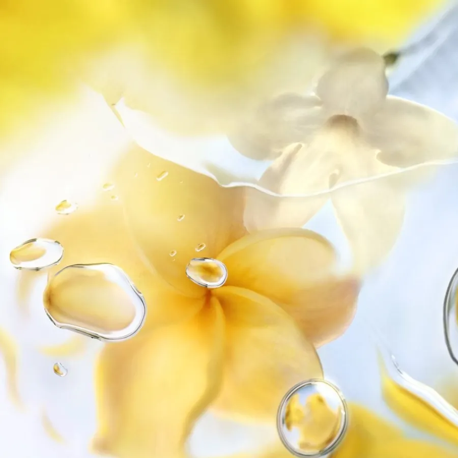 Damesparfum^Lancôme Eau de Toilete Spray, Ô Zenith