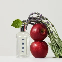 Fris Parfum|Herenparfum^Tommy Hilfiger Eau de Toilette Nevel