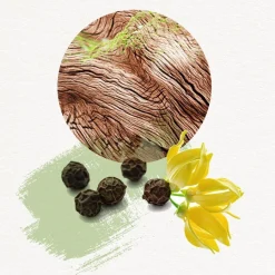 Herenparfum^Annayake Eau de Toilette Spray