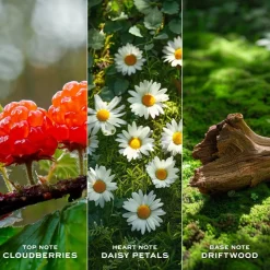 Damesparfum^Marc Jacobs Eau de Toilette Spray