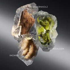 Herenparfum^Issey Miyake Eau de Toilette Spray - navulbaar