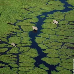 Frans Parfum|Fris Parfum^GUERLAIN Eau de Toilette Spray, Nerolia Vetiver