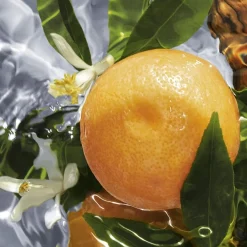 Frans Parfum|Zomergeuren^GUERLAIN Eau de Toilette Spray, Pamplelune