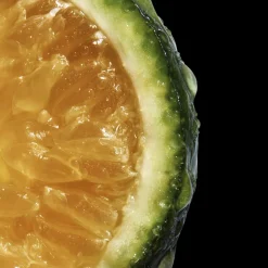 Damesparfum^Davidoff Eau de Toilette Spray, Reborn