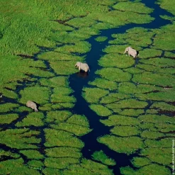 Frans Parfum|Damesparfum^GUERLAIN Eau de Toilette Spray, Rosa Verde