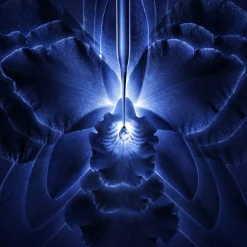 Gezichtscrème^GUERLAIN Essence-Lotion Concentrate