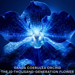 Dagcrème|Antirimpelcrème^GUERLAIN Exceptional Complete Longevity Care Cream