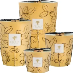 Geurkaarsen^Baobab Folia Garrigue geurkaars