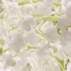 Damesparfum^Davidoff Geschenkset