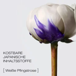 Droog Haar^Shu Uemura Glow Shampoo