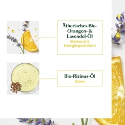 Haarserum^René Furterer HEAD SPA stimulerend concentraat