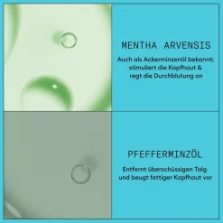 Conditioner Voor Beschadigd Haar|Conditioner Voor Gekleurd Haar^Nioxin Hoofdhuid Therapy Revitaliserende Conditioner, Gekleurd haar Licht dunner wordend