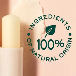 Lipserum|Lipscrub^Nuxe Lip Moisturizing Stick, Rêve de Miel