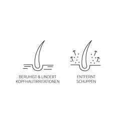 Droog Haar^System Professional Lipid Code Lotion P5