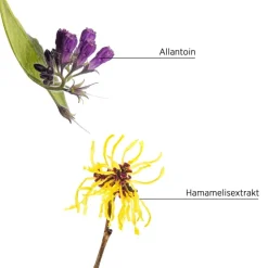 Droog Haar^System Professional Lipid Code Lotion P5