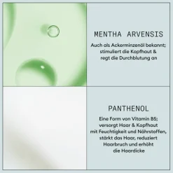 Haarmousse^Nioxin Mousse voor volume