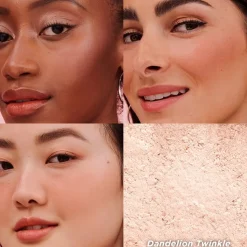 Highlighter^Benefit Paardenbloem Twinkle Highlighter