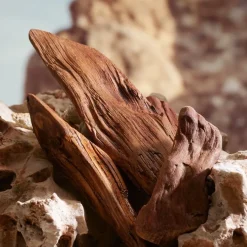 Herenparfum^Dolce&Gabbana Parfum