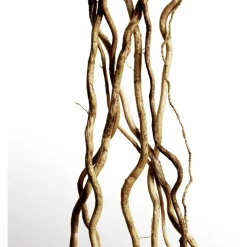 Herfstgeuren|Herenparfum^Davidoff Parfum