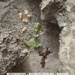 Herenparfum^Jil Sander Parfum, New Sun