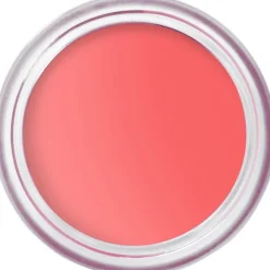 Blush^Bobbi Brown Pot Rouge Velvet Matte
